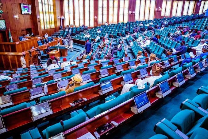 Reps query $300m paid monthly for supply of 450 Mega Watts of electricity