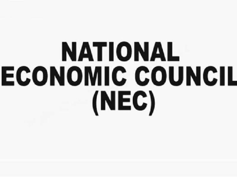 NEC trashes Buhari’s national social register, questions its integrity